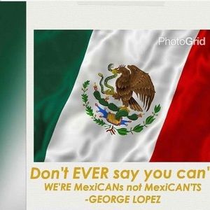 Meet your Posher, Natasha